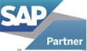 Sap Partner image